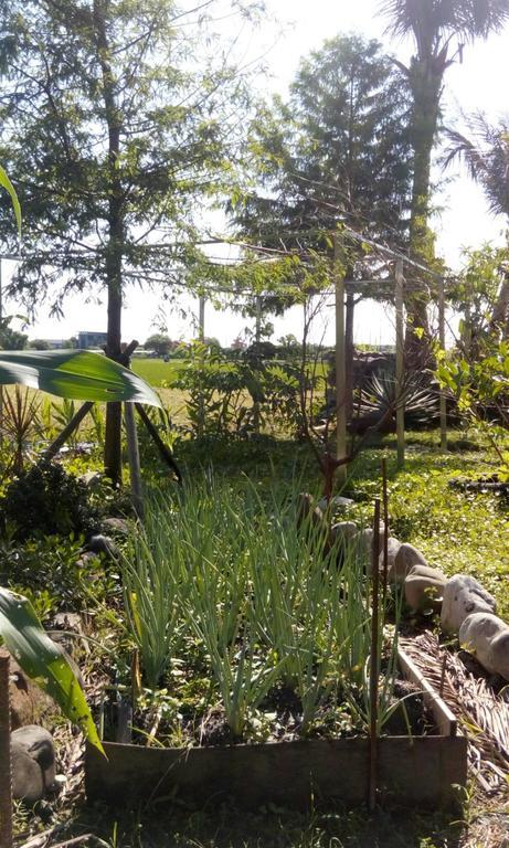 Hasayaki Homestay Саньсин Экстерьер фото