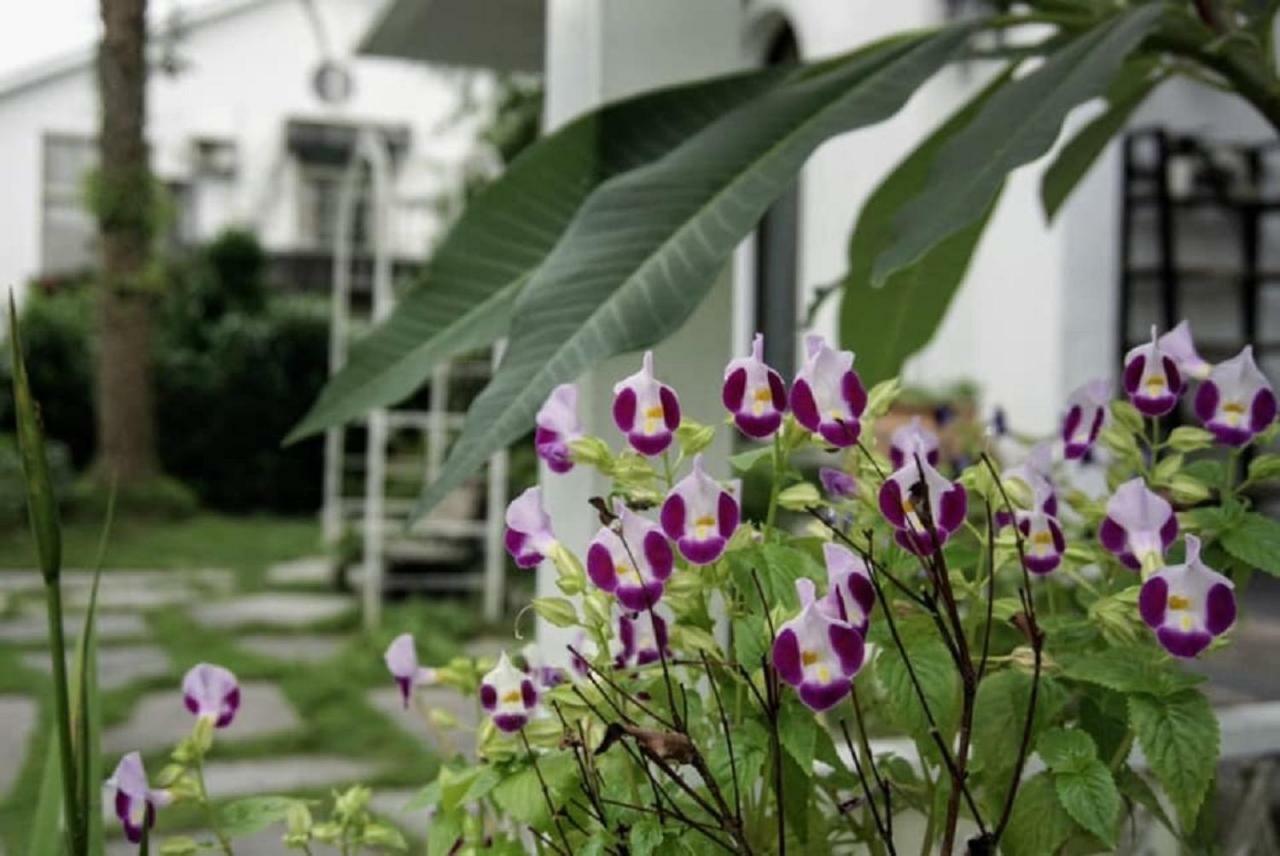 Hasayaki Homestay Саньсин Экстерьер фото